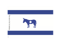 Poster - "The state of all its donkeys", Social Poster, Designed by Igal Gabay