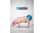 Poster - "UNsuitable", Social Poster, Political Poster, Middle East, Designed by Igal Gabay