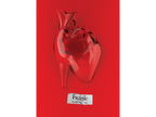 Printed Posters - "Fragile", Designed by Igal Gabay